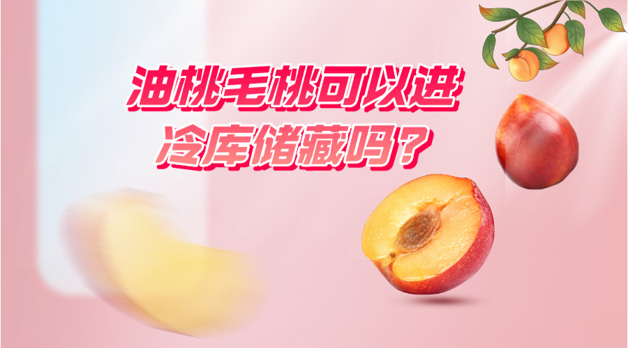 油桃毛桃可以进冷库储藏吗?