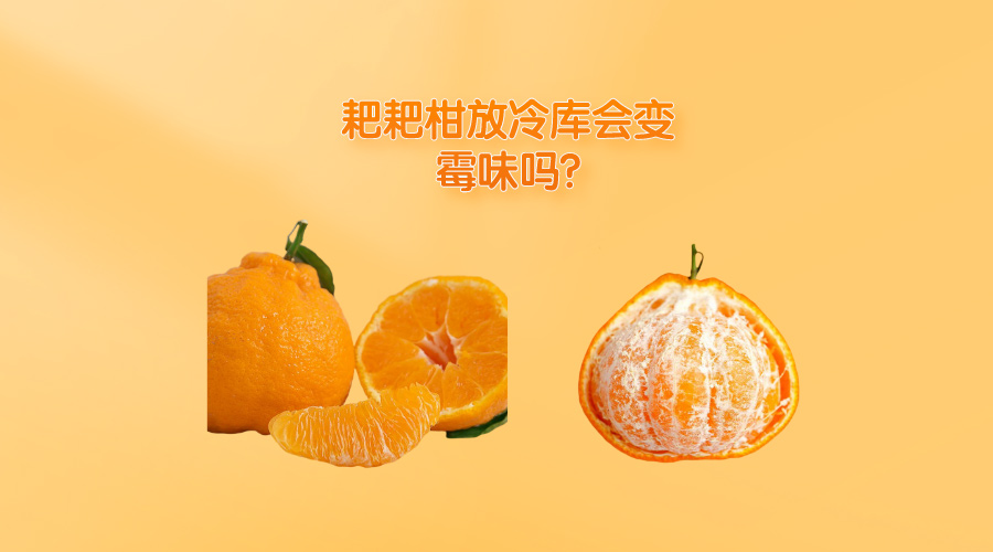 耙耙柑放冷库会变霉味吗?