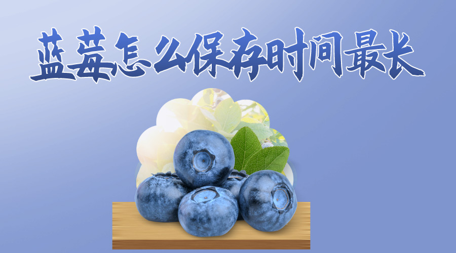 蓝莓怎么保存时间长