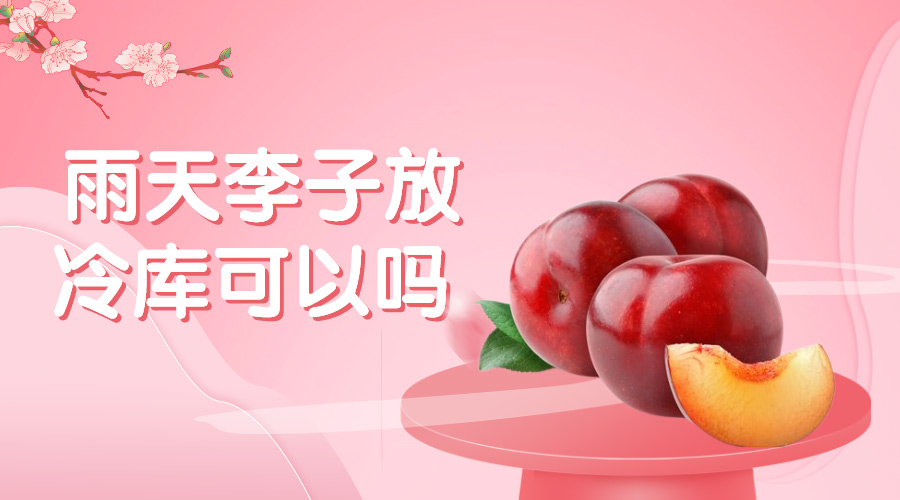 雨天李子放冷库可以吗？