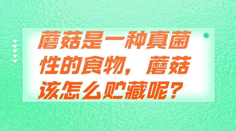蘑菇是一种真菌性的食物，蘑菇该怎么贮藏呢？