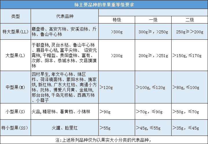 柿果单果重量分级