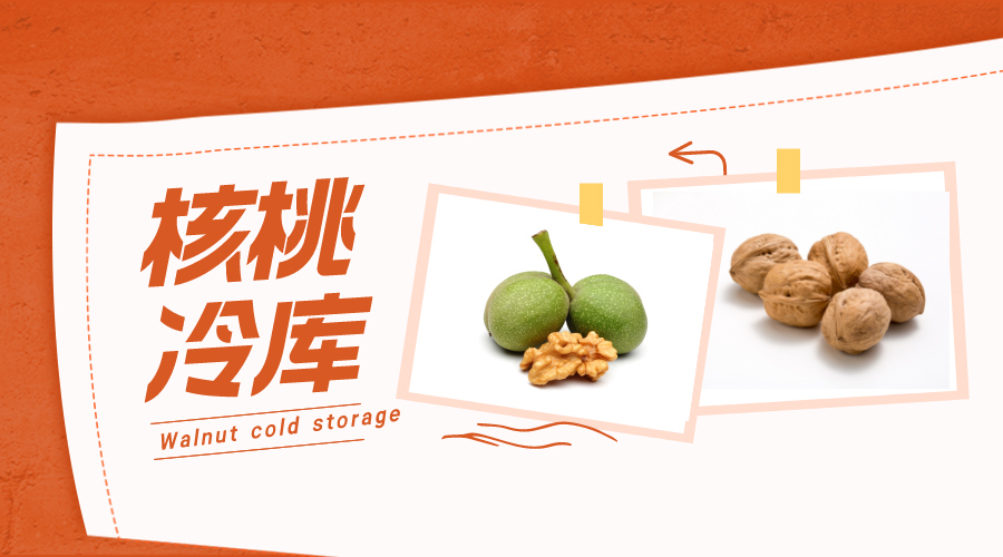 鲜核桃冷库储藏方法说明