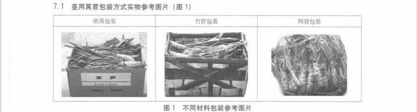 莴苣放冷库前包装参考图