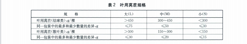 生菜（叶用莴苣）规格参考图片