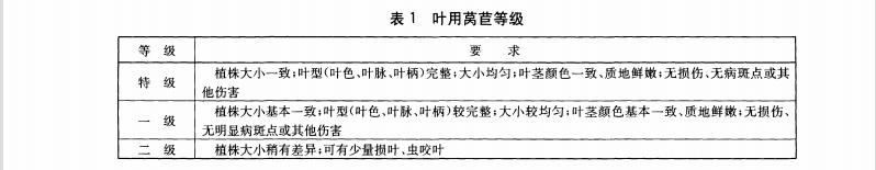 生菜（叶用莴苣）等级参考标准