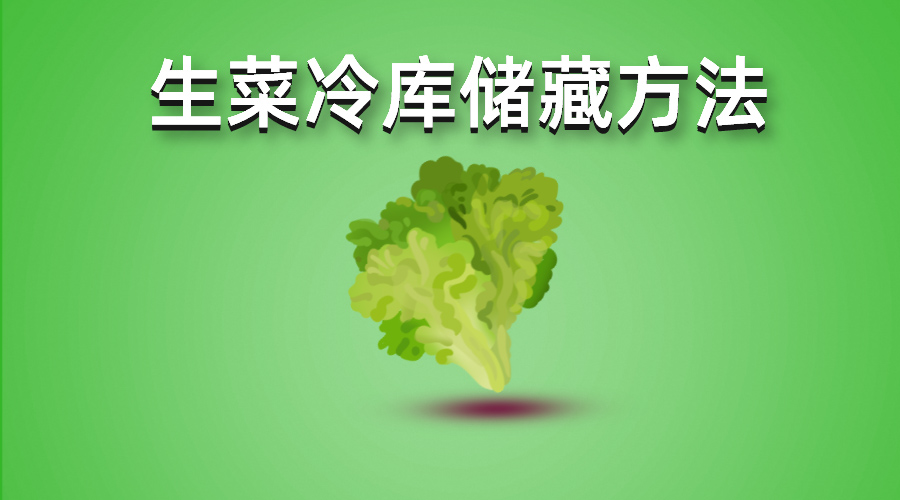 生菜冷库储藏方法介绍