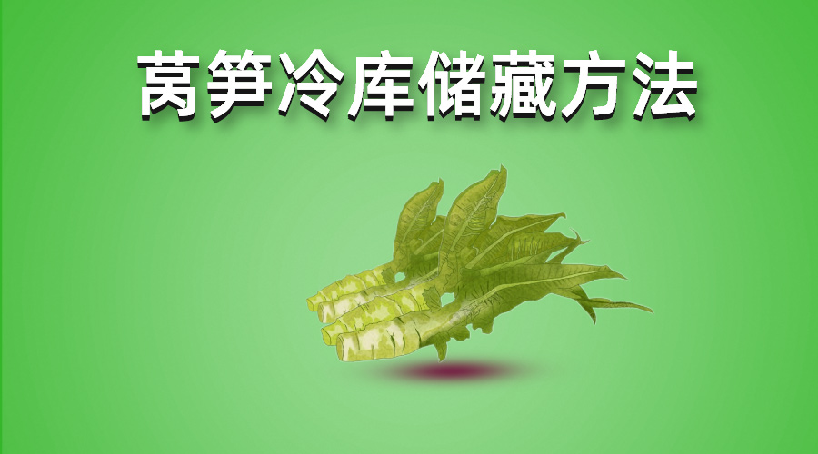 莴笋冷库储藏方法介绍