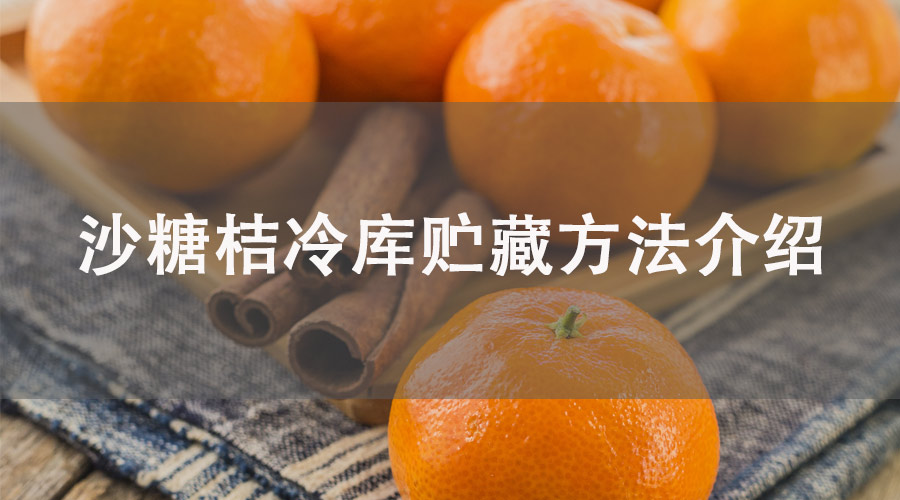 砂糖橘冷库贮藏保鲜方法介绍，保鲜5个月不坏！