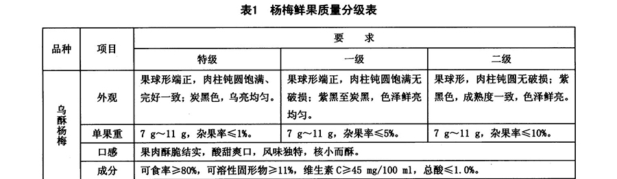 杨梅放冷库前质量要求1