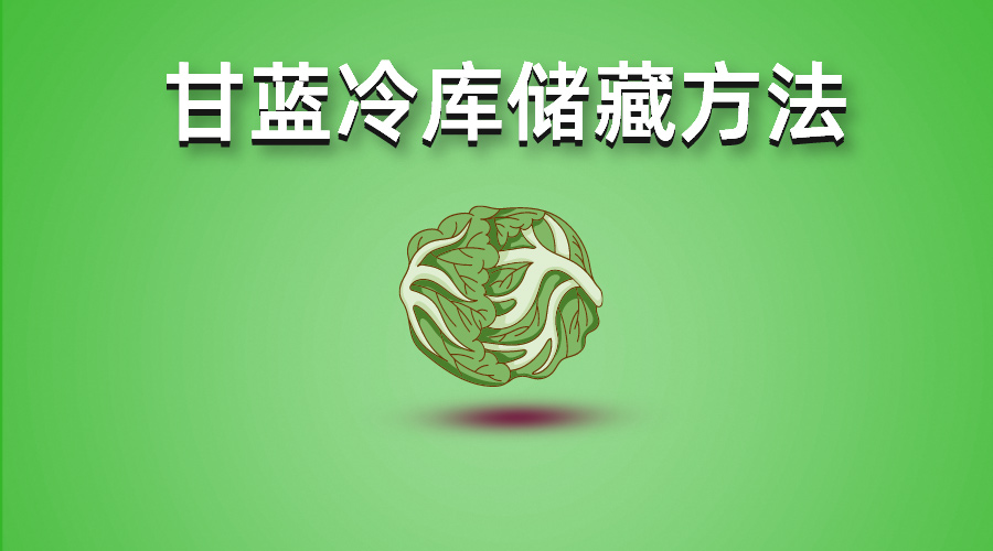 包菜（甘蓝）冷库储藏技术