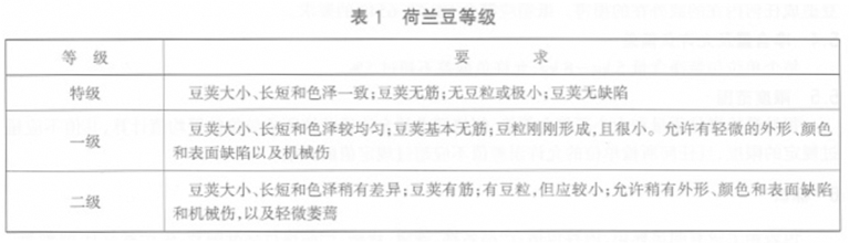 荷兰豆放冷库前等级划分
