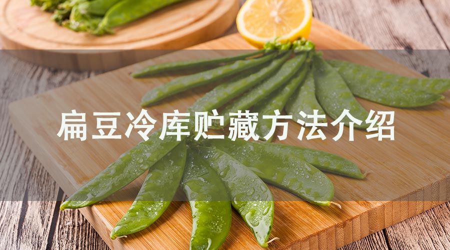 扁豆冷库长期贮藏方法介绍，保鲜20天不坏！