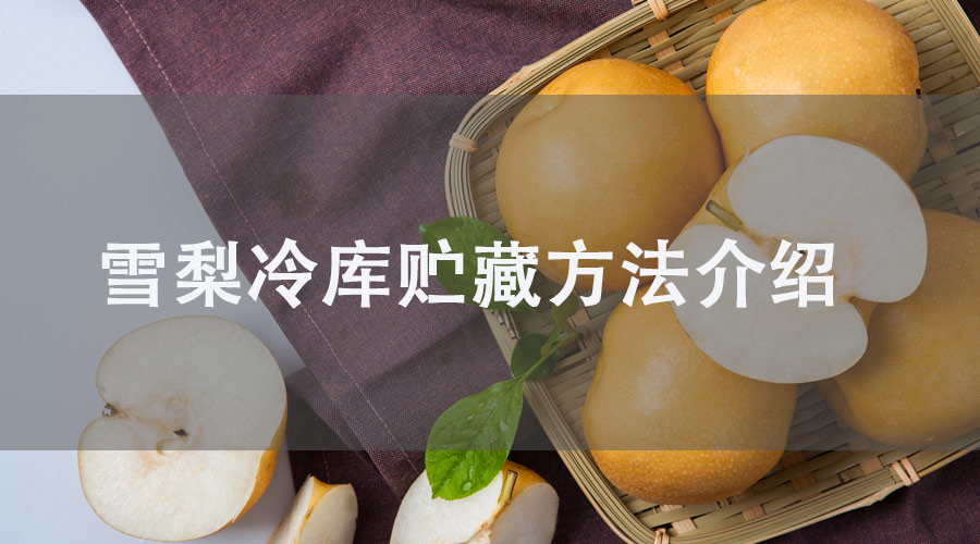 雪梨冷库贮藏方法介绍