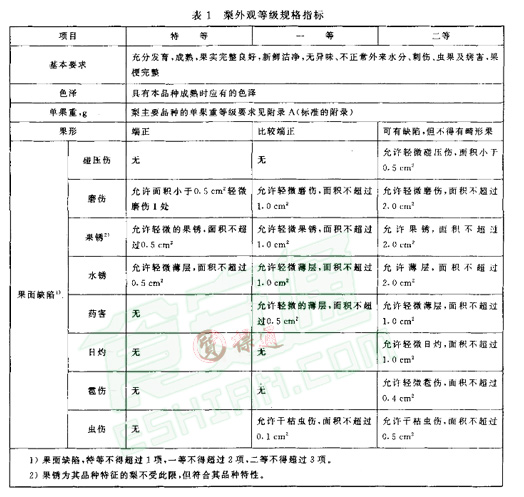 雪梨放冷库前标准
