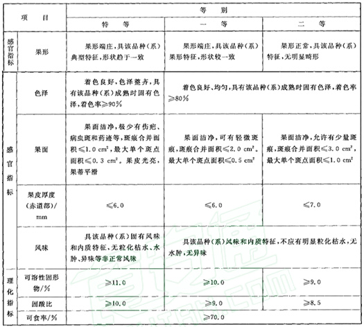 脐橙分级标准
