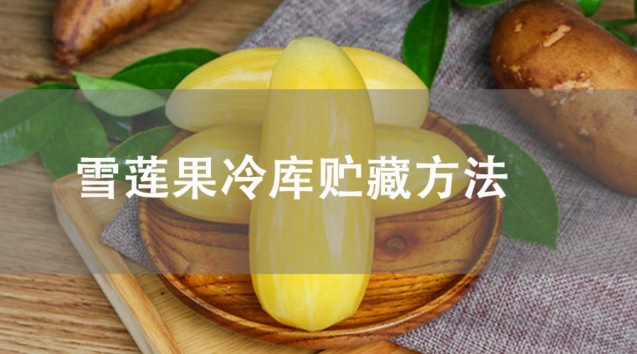 雪莲果冷库贮藏方法
