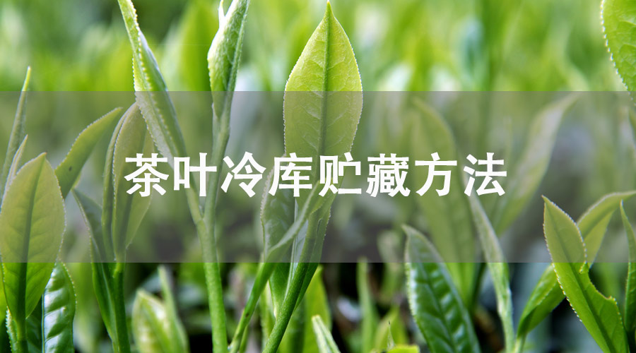 茶叶冷库贮藏方法