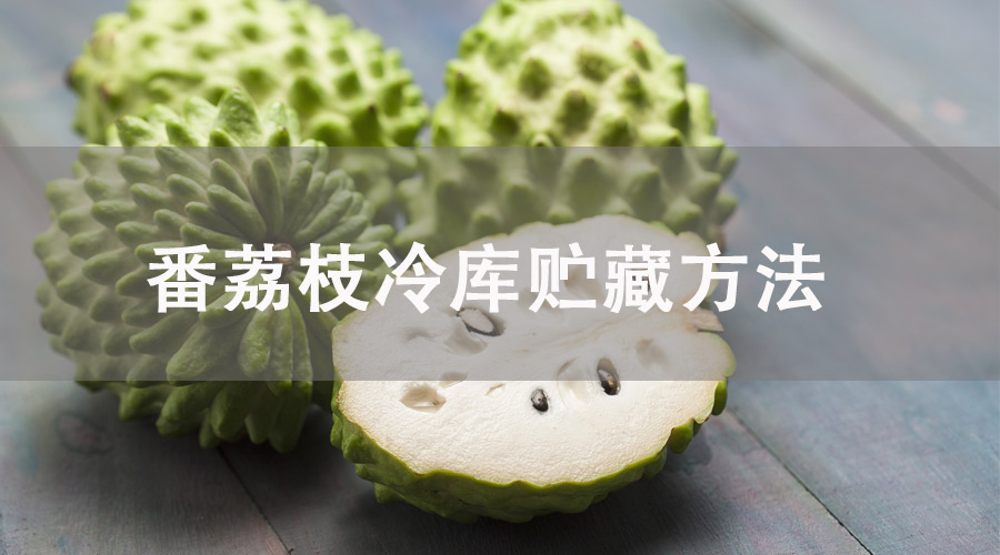 番荔枝冷库贮藏
