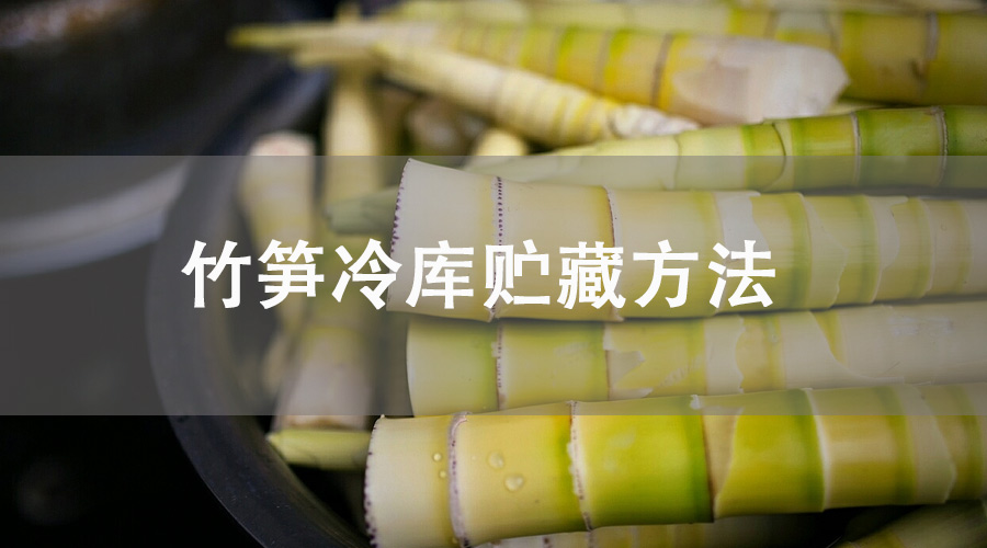 竹笋冷库贮藏方法介绍