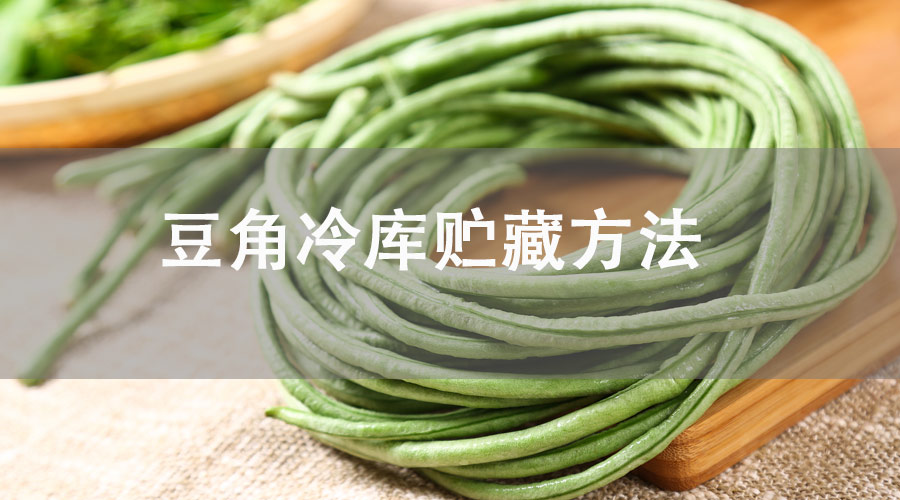 豆角冷库贮藏方法