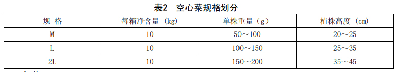 空心菜分级标准