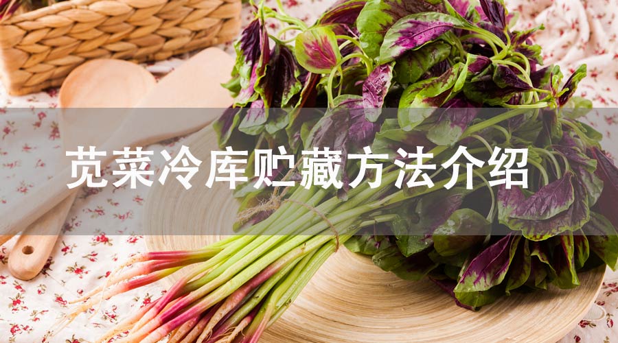 苋菜冷库贮藏方法