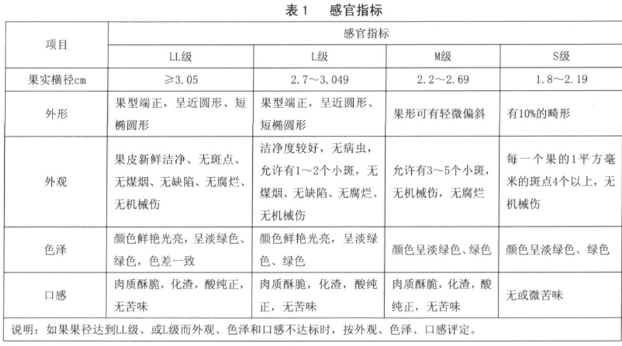 青梅分级标准