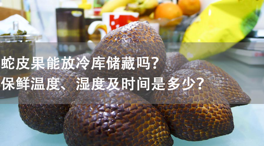 蛇皮果能放冷库储藏吗？保鲜温度、湿度及时间是多少？