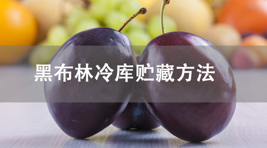 黑布林冷库贮藏方法.jpg