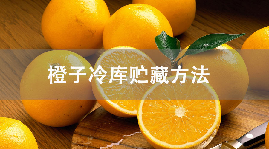 橙子冷库可以贮藏多久？气调库保鲜5个月！