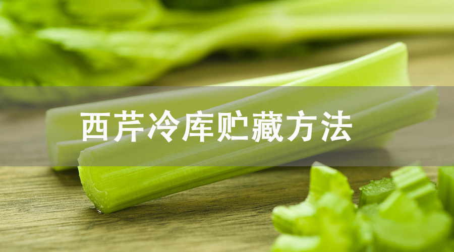 西芹贮藏方法是什么？冷库保鲜4个月！