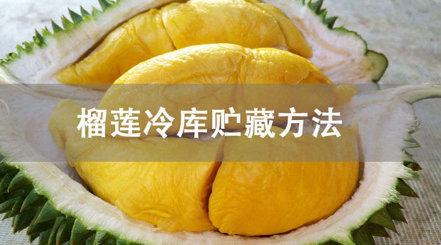 榴莲冷库贮藏方法