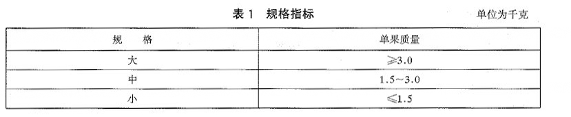 榴莲规格划分