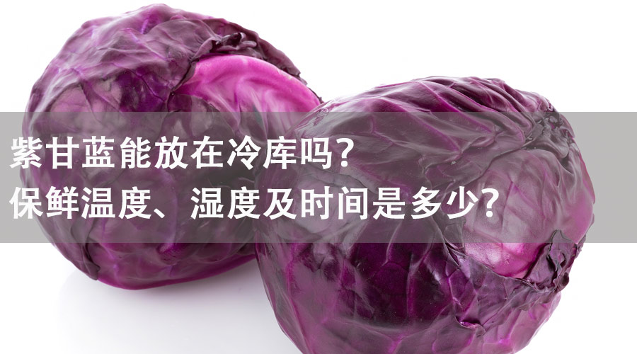 紫甘蓝能放在冷库吗？保鲜温度、湿度及时间是多少？