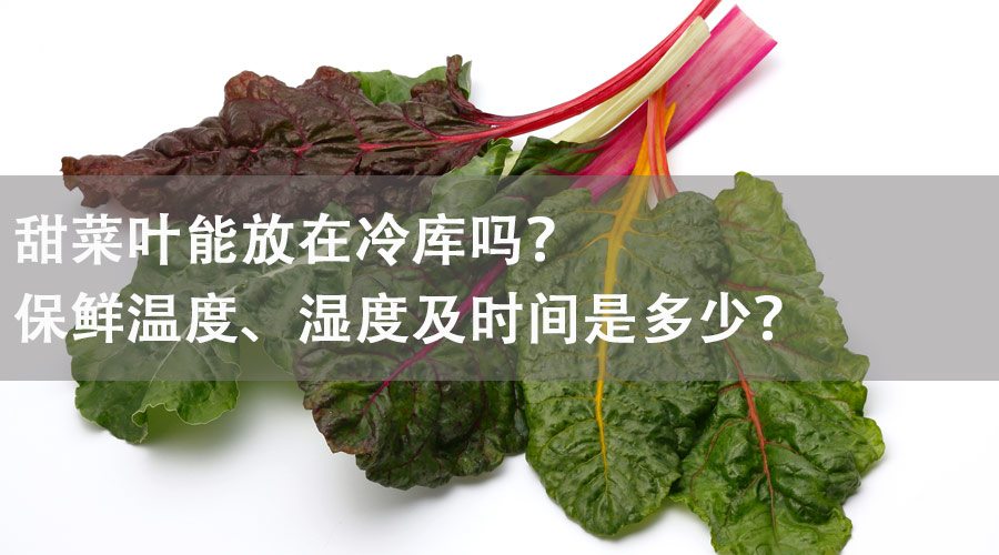 甜菜叶能放在冷库吗？保鲜温度、湿度及时间是多少？
