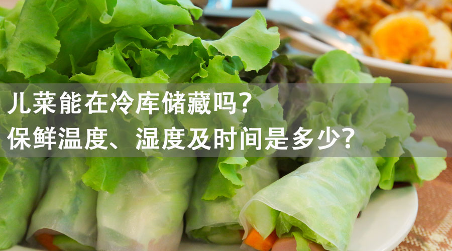 儿菜能在冷库储藏吗？保鲜温度、湿度及时间是多少？