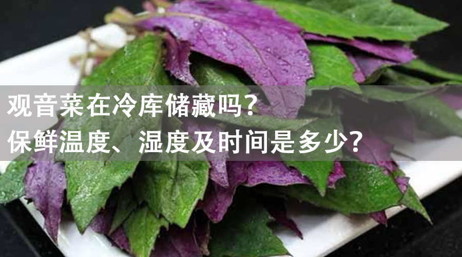 观音菜能放冷库储藏吗？保鲜温度、湿度及时间是多少？