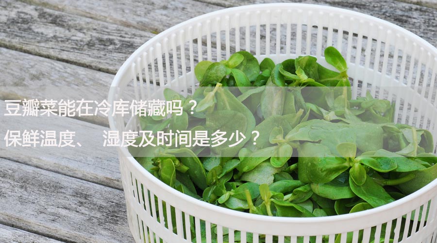 豆瓣菜能在冷库储藏吗？保鲜温度、湿度及时间是多少？
