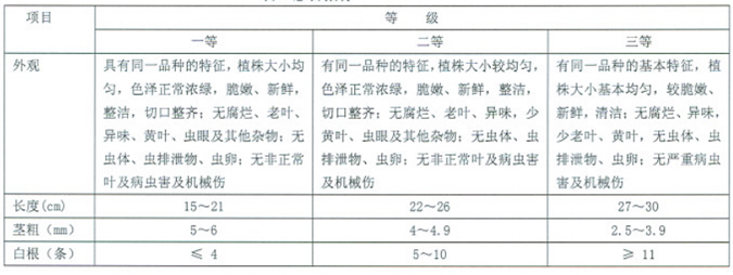 豆瓣菜分级标准.jpg