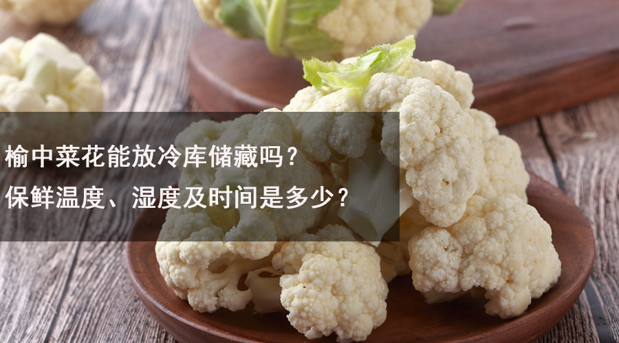 榆中菜花能放冷库储藏吗？保鲜温度、湿度及时间是多少？.jpg