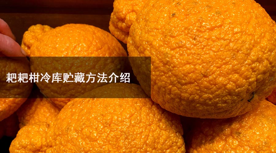 耙耙柑冷库.jpg