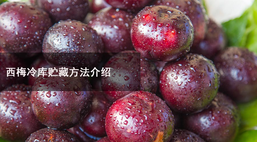 西梅冷库.jpg