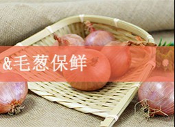 毛葱保鲜怎么做？冷库保鲜效果好！-万能制冷