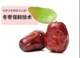 冬枣冷库保鲜技术详解，储藏4个月不坏！