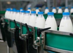 民乐县80平米乳制品保鲜冷库安装工程