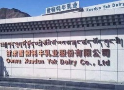 夏河县雪顿牦牛乳业300平米冷库安装工程