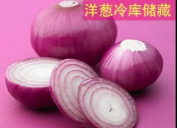 洋葱冷库储藏方法介绍，保鲜半年也不是难题！