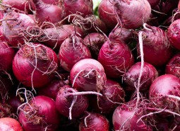 金川甜菜600平米蔬菜保鲜万博娱乐平台电脑版
工程