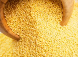 金花寨小米800平米冷藏库设计方案